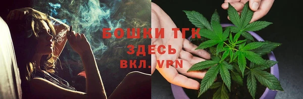 ALPHA PVP Осинники