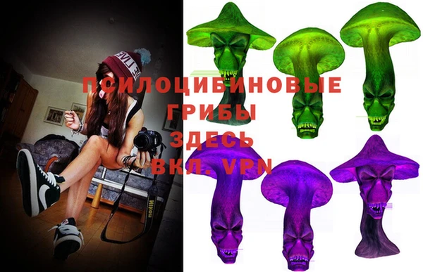 ALPHA PVP Осинники