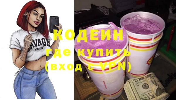 мет Няндома