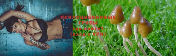 кристаллы Нягань