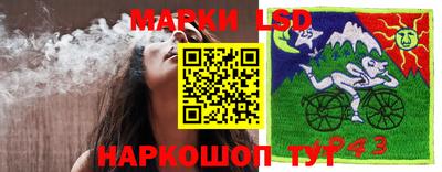 амф Берёзовский