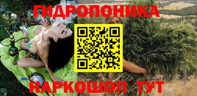 a pvp Бийск