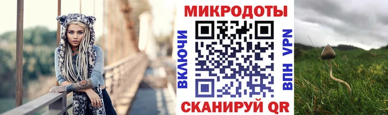 Псилоцибиновые грибы прущие грибы где купить Касимов