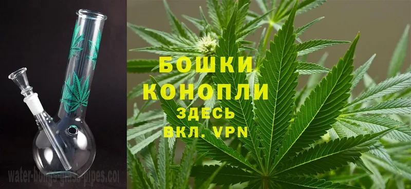 Марихуана White Widow  Касимов 